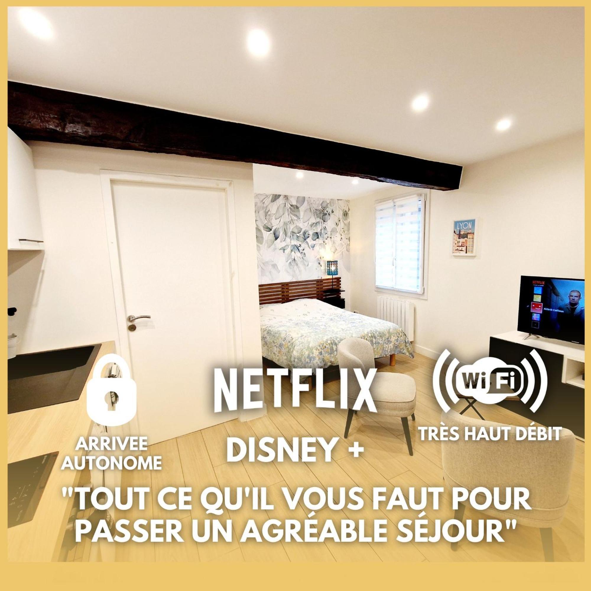 Studio Entierement Equipe Cailloux-sur-Fontaines Экстерьер фото